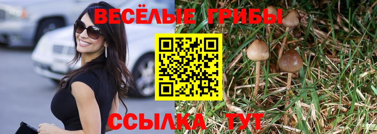 Людиново  Галлюциногенные грибы GOLDEN TEACHER  Вход с VPN  Псилоцибиновые грибы мухоморы 